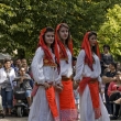 Festival - albnsk tanenice